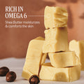 L'Occitane Shea Butter Ultra Rich Face Cream 50Ml