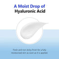 Isntree Hyaluronic Acid Aqua Gel Cream 100Ml