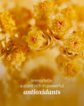 L'Occitane Ladies Immortelle Divine Youth Oil 30Ml