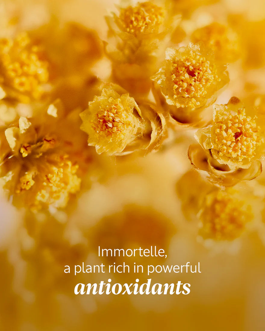 L'Occitane Ladies Immortelle Divine Youth Oil 30Ml