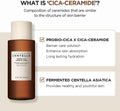 Skin1004 Madagascar Centella Probio-Cica Essence Toner 210Ml