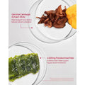 Foodology Coleology Bowel Movement Jelly (10 Sticks)