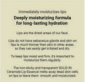 Torriden Solid In Lip Essence 11Ml