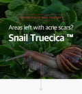 Some By Mi Snail Truecica Miracle Repair Toner 150Ml