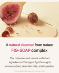 I'm From Fig Foam Cleanser 150Ml