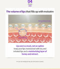 Frudia Blueberry Hydrating Honey Lip Balm 10Ml