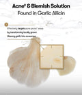 VT Garlic Ac Reedle Shot Gel Cream Blemish Care 50Ml