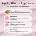 Arencia Rosehip Mild PH Balancing Rice Cake Cleanser 150Ml