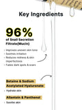 Cosrx Advanced Snail 96 Mucin Power Essence 100Ml