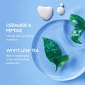 Laneige Cream Skin Cerapeptide Toner & Moisturizing 170Ml