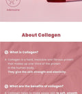 K-Secert Collagen Boosting Secret Ampoule 30Ml