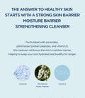 Skin1004 Madagascar Centella Hyalu-Cica Gentle Cleansing Milk 200Ml