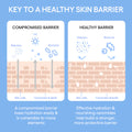 Laneige Cream Skin Cerapeptide Toner & Moisturizing 170Ml
