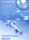 Medicube One Day Exosome Ampoulle Shot25000 13Ml