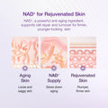 Numbuzin No.9 NAD+ Bio Lifting-Sil Essence 50Ml