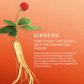 Sulwhasoo Concentrated Ginseng Rejuvenating Cream Rich 10Ml